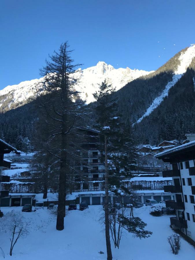 Appartement Brévent - Melèze à Chamonix Extérieur photo